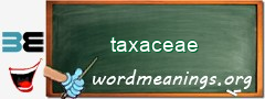 WordMeaning blackboard for taxaceae